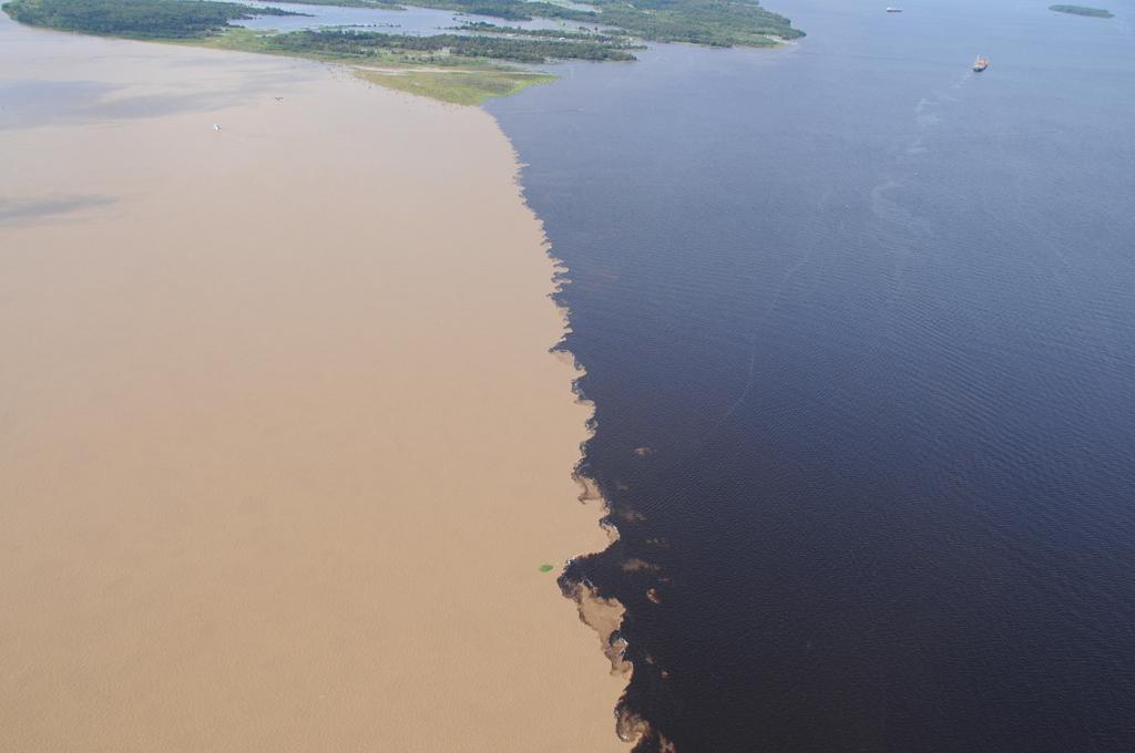 Ariau Amazon Towers Villa Manaus Eksteriør bilde